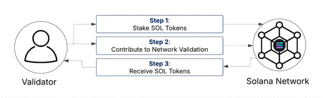 Solana Staking